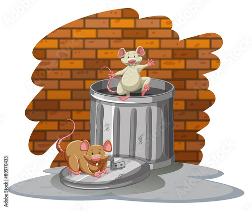 Rats playing with the trashbin
