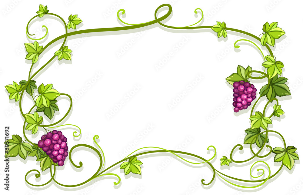 Frame Frame