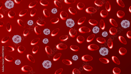 Human blood cells