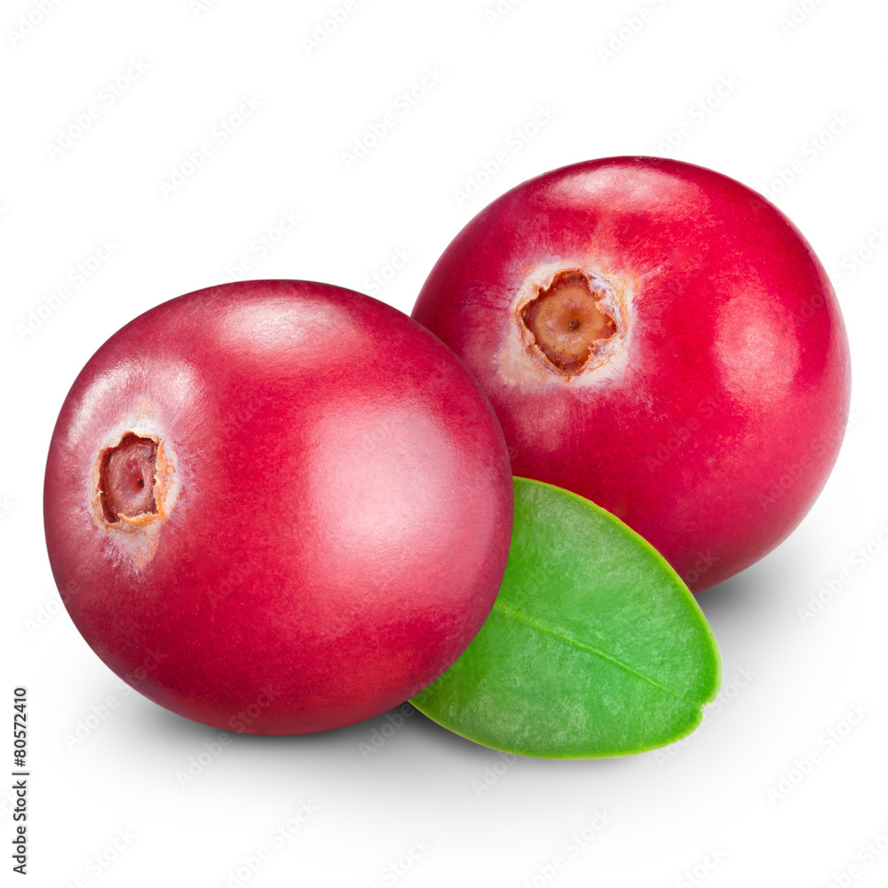 Obraz premium cranberries