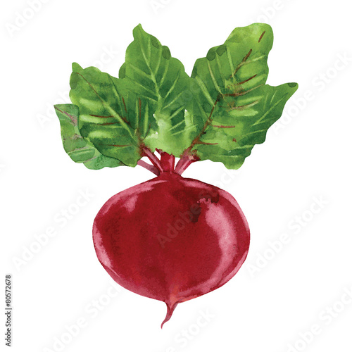 Beetroot with leaves