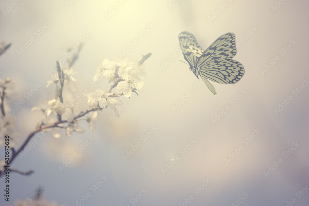 Naklejka premium Pastelowe kolorowe zdjęcie kwiatów motyla i wiosny