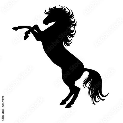 Fototapeta Naklejka Na Ścianę i Meble -  black horse silhouette 17-ill