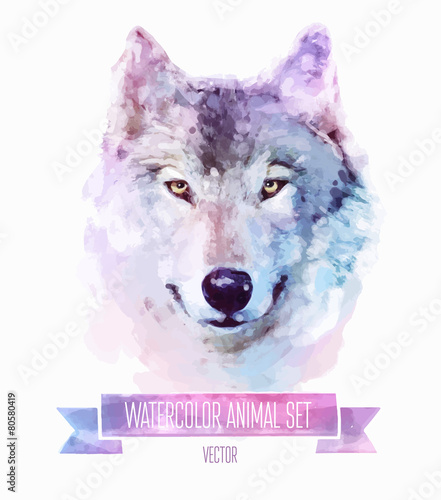 Vector set of watercolor illustrations. Cute wolf