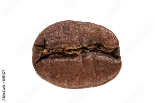 single roasted coffee bean isolated on a white