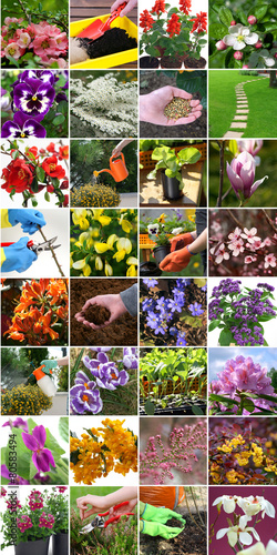 Spring in the garden - colorful collage