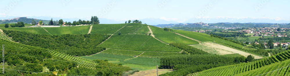 Fototapeta premium Summer landscape in Langhe (Italy)