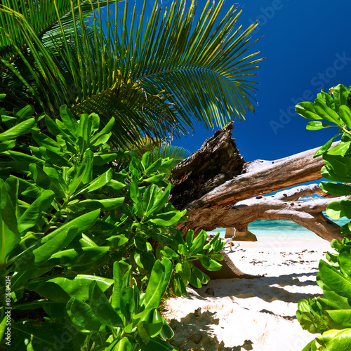 Beautiful beach at Seychelles