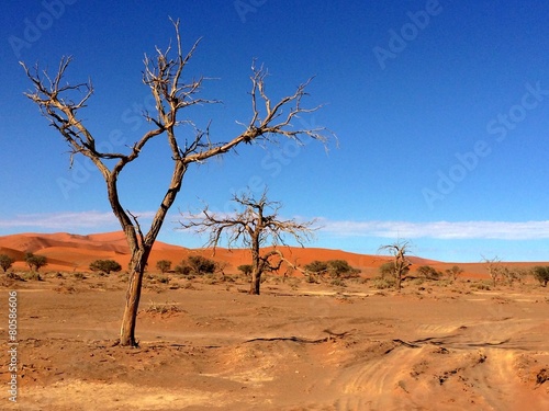 Sossusvlei in Namibia, Africa