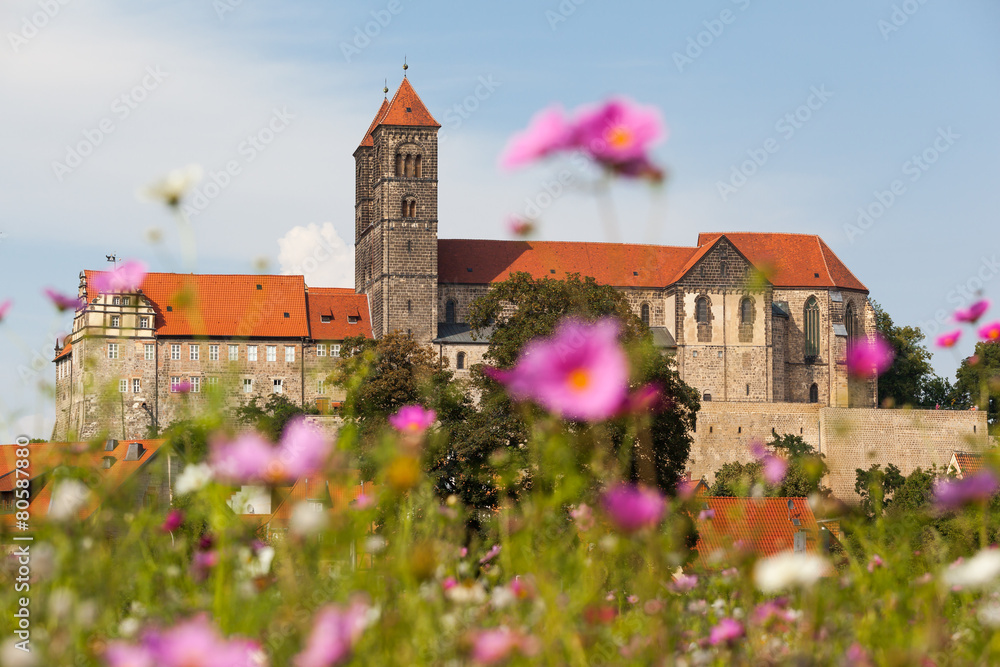Blick zum Quedlinburger Schloss und Stiftskirche