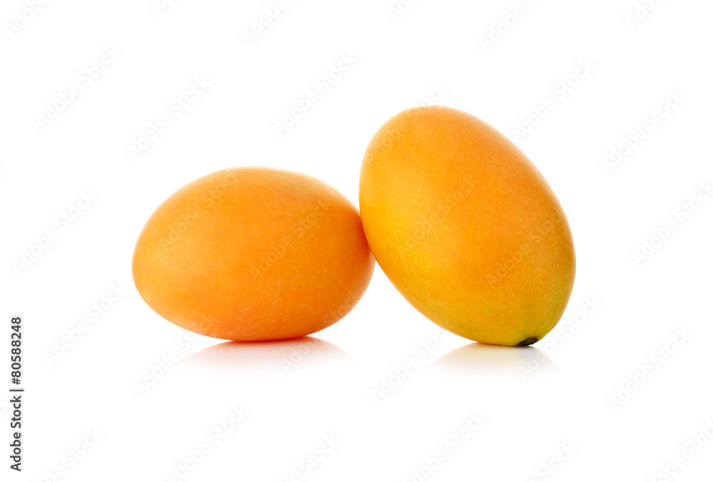 Marian Plum isolated on white background Marian Plum isolated on white background