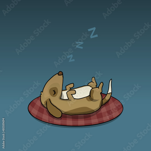 Sleeping cute dog