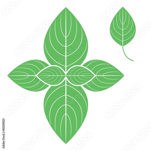 Basil