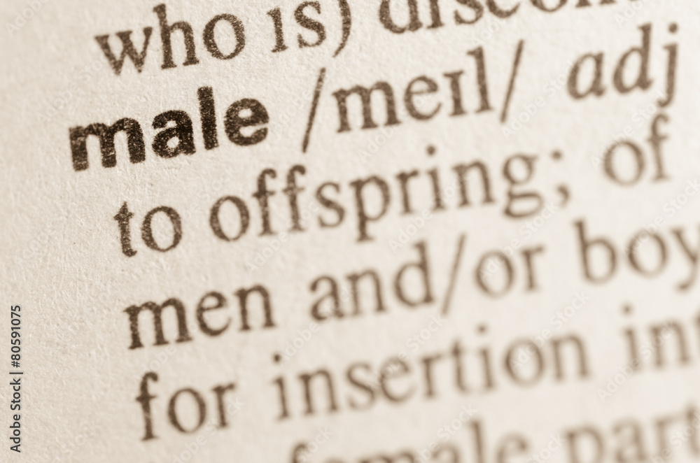 Dictionary definition of word male Dictionary definition of word male