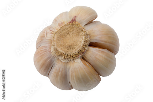 garlic farm products organic isolated white background