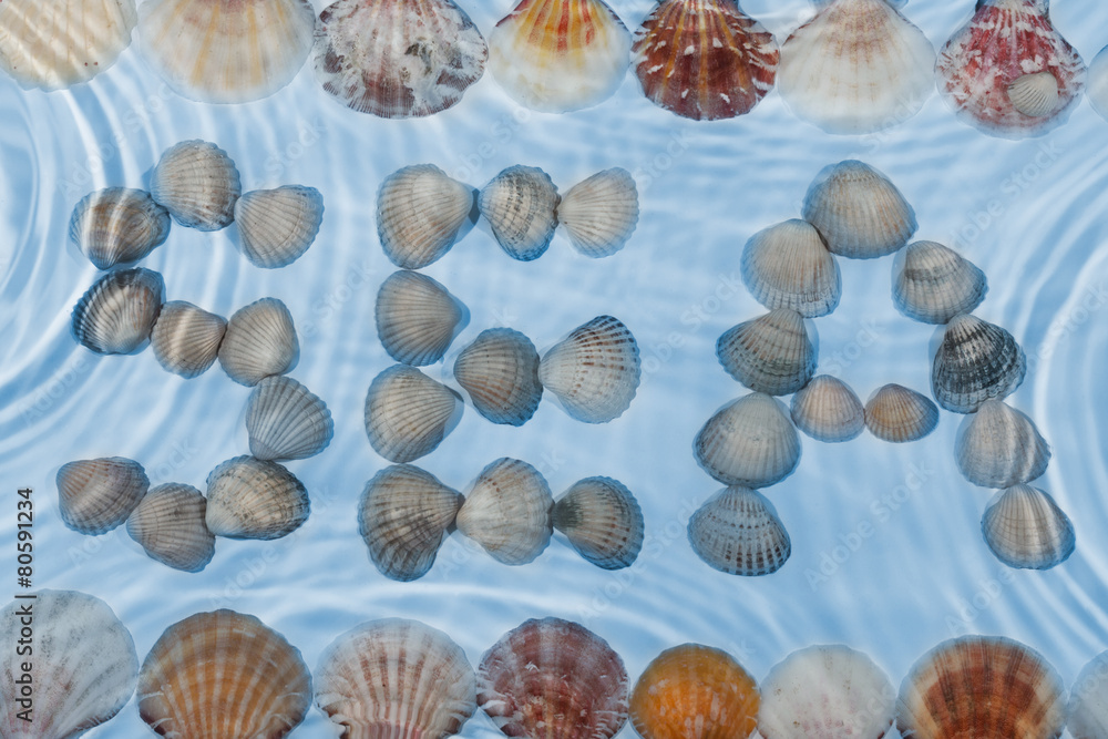 Word sea made of seashells under water Word sea made of seashells under water