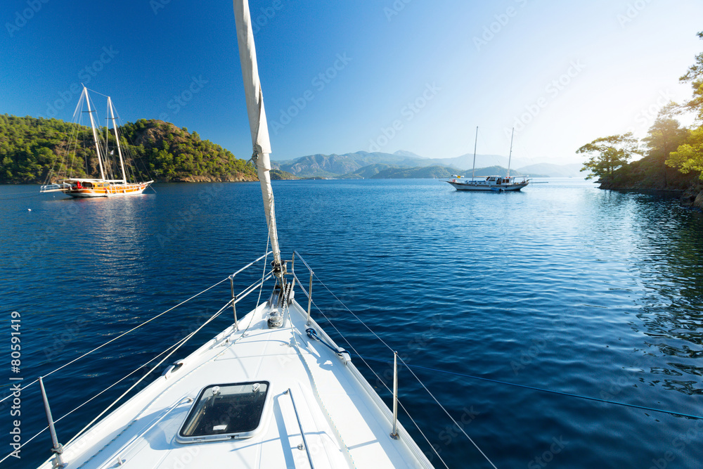 Fototapeta premium Sailing