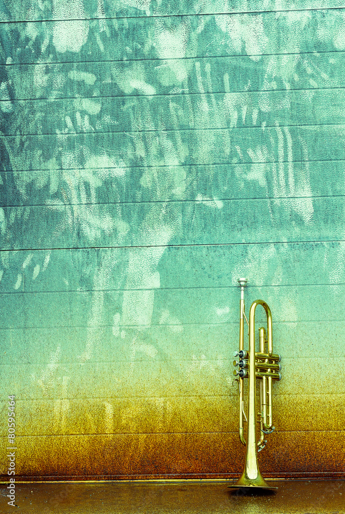 Fototapeta premium Old Trumpet