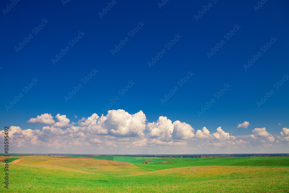Beatiful morning green field with blue heaven Beatiful morning green field with blue heaven