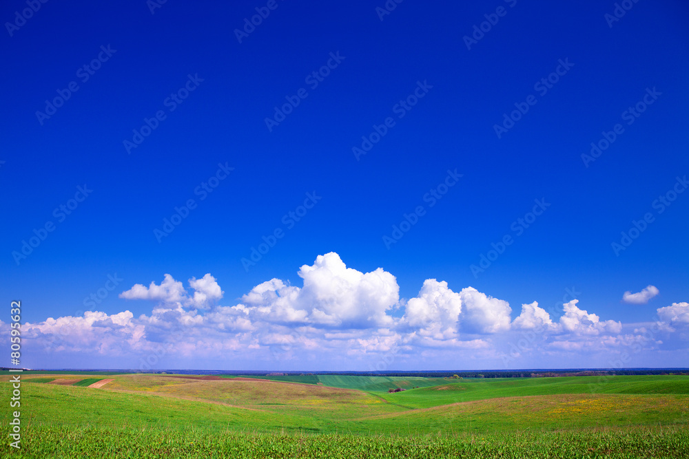 Green grass under blue sky