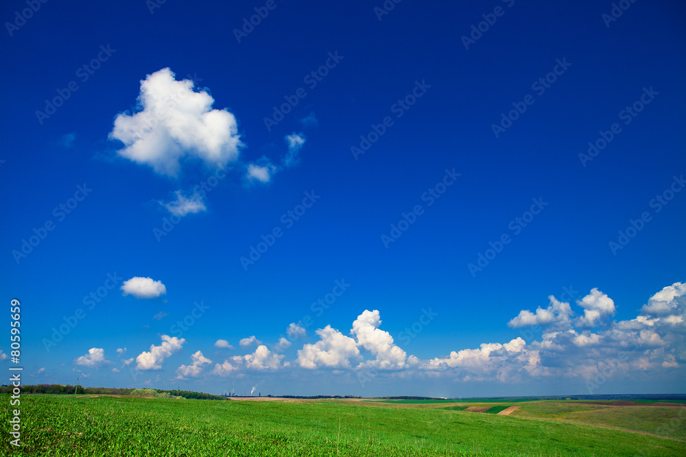 Green grass under blue sky