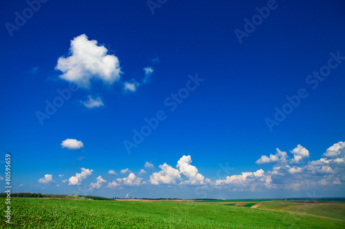 Green grass under blue sky