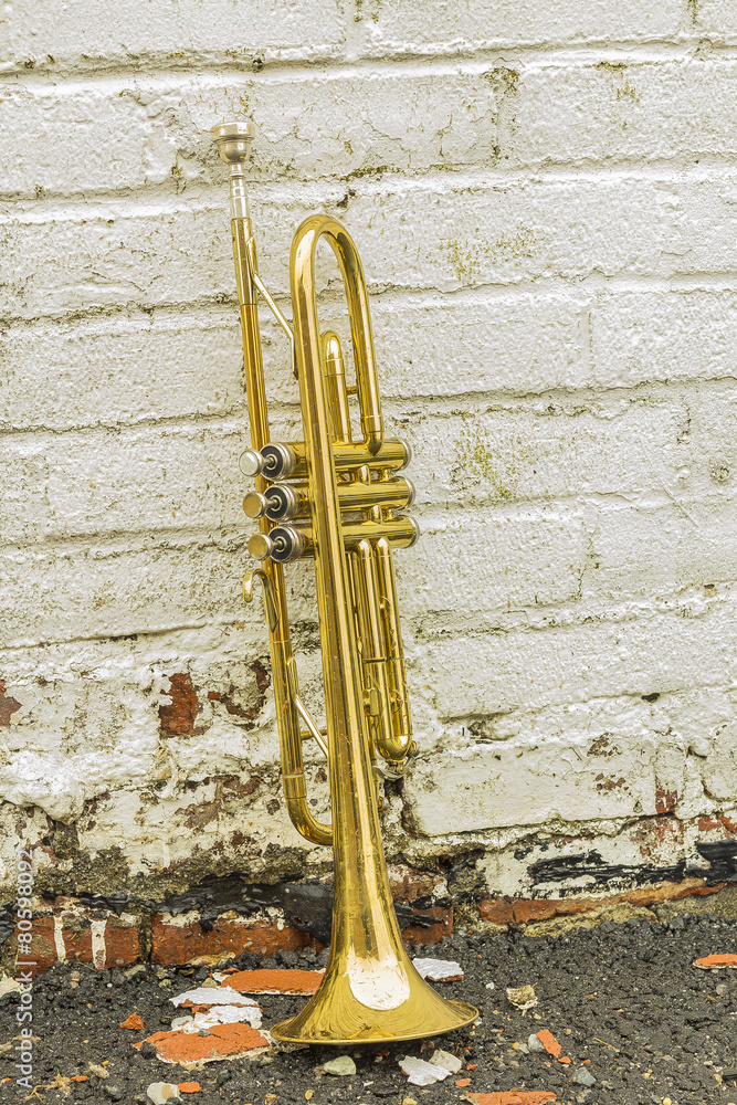 Fototapeta premium Old Trumpet Brick Wall