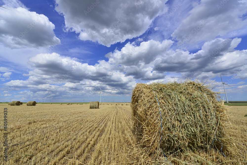 circular haystack in windmill farm field with white grey clouds