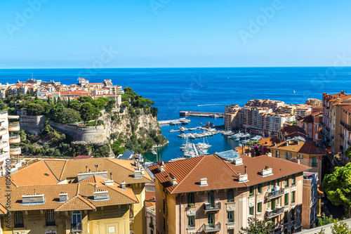 prince's palace in Monte Carlo, Monaco