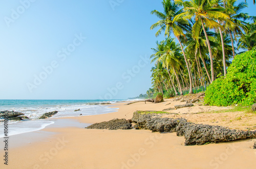 Fototapeta Naklejka Na Ścianę i Meble -  Paradise sandy beach with palm trees, Sri Lanka, Asia