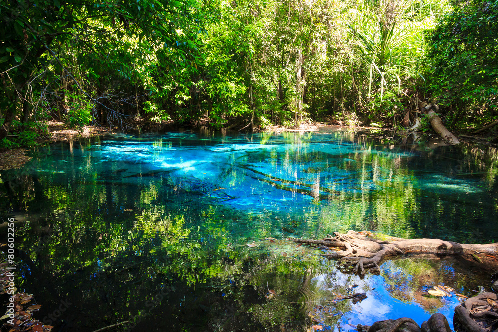Emerald blue natural Pool. Krabi province, Thailand Emerald blue natural Pool. Krabi province, Thailand