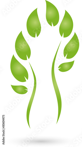 Logo, Pflanze, Blätter, Mensch, Heilpraktiker