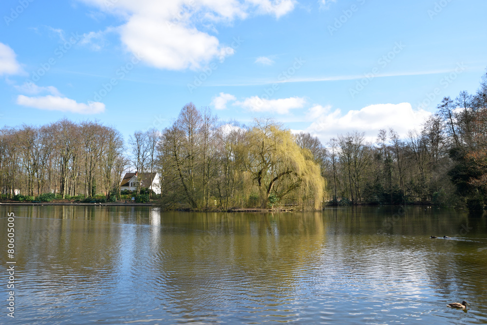 Fototapeta premium Panorama view from lake in spring time