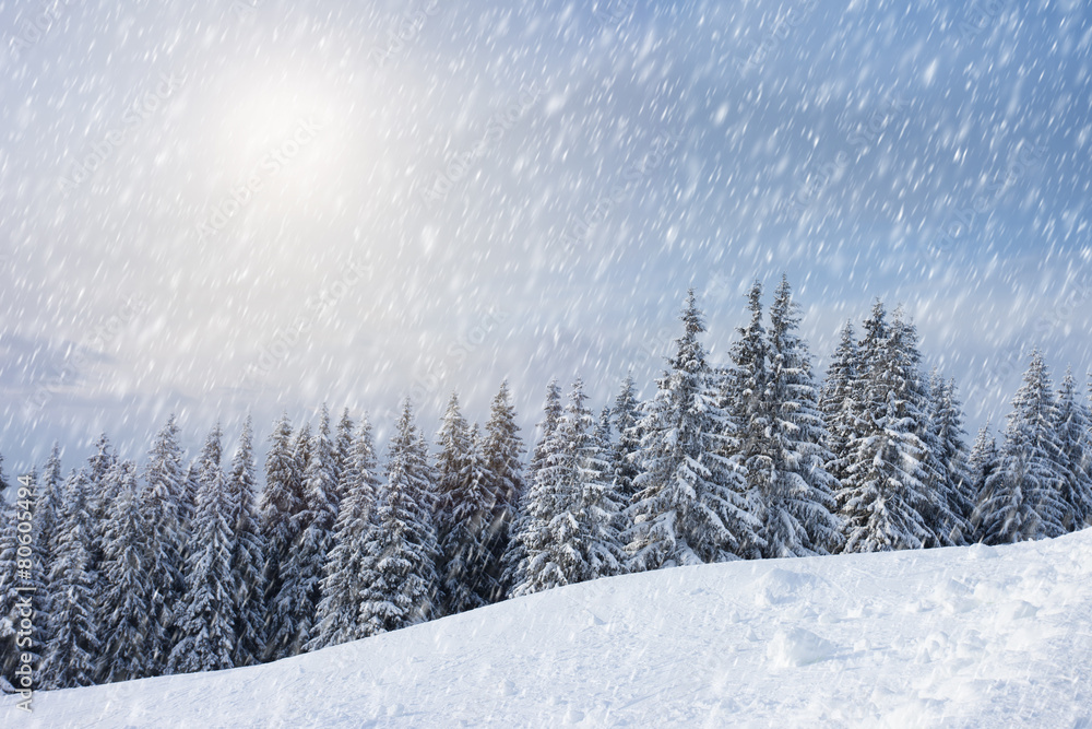 Naklejka premium winter