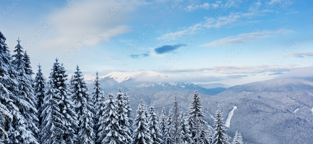 Obraz premium winter