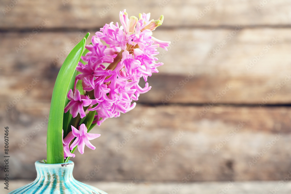 Beautiful hyacinth flower in vase on wooden background