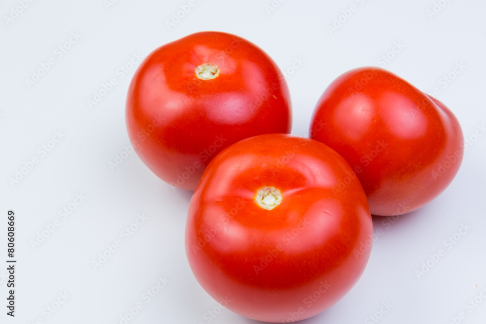 Tomatoes on White Background Tomatoes on White Background