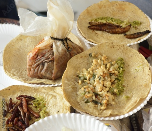 Fried insects and worms tacos from Mexican traditional cuisine