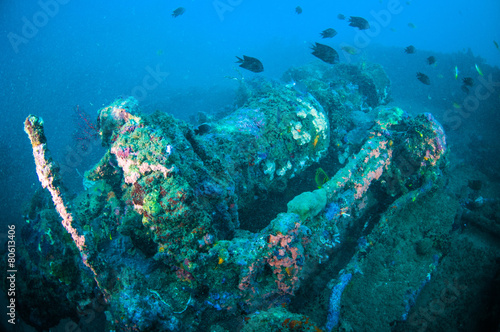 shipwreck bunaken sulawesi indonesia underwater photo