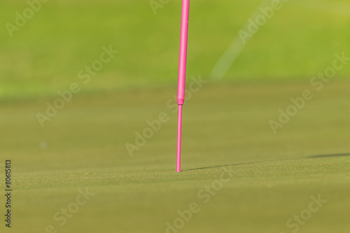 Golf Pink Flag Stick