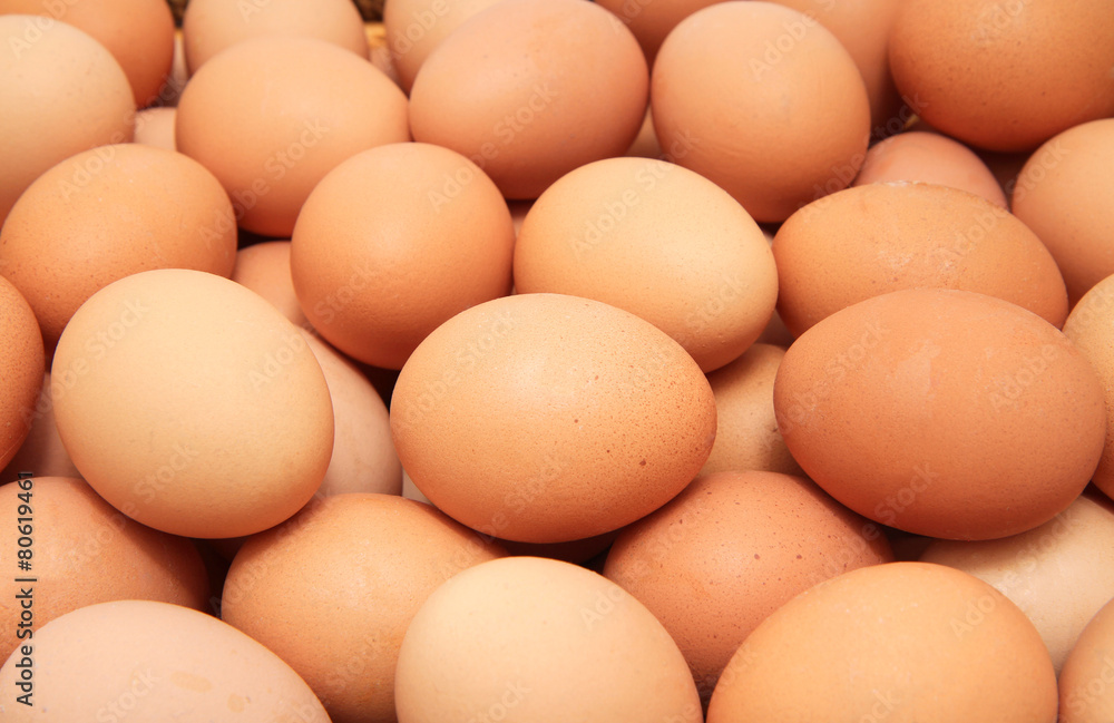 Fresh eggs Fresh eggs