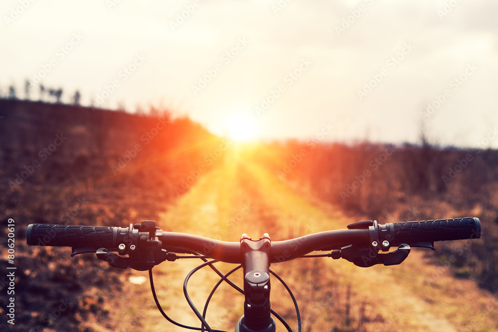 Mountain biking down hill descending fast on bicycle. View from - obrazy, fototapety, plakaty 