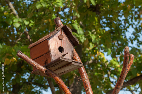 bird house on a tree surrounded by green leaf
