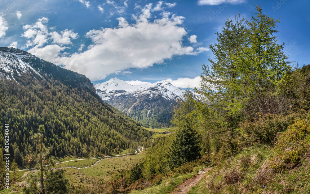 Wanderweg in Südtirol