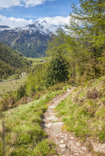 Wanderweg in Südtirol