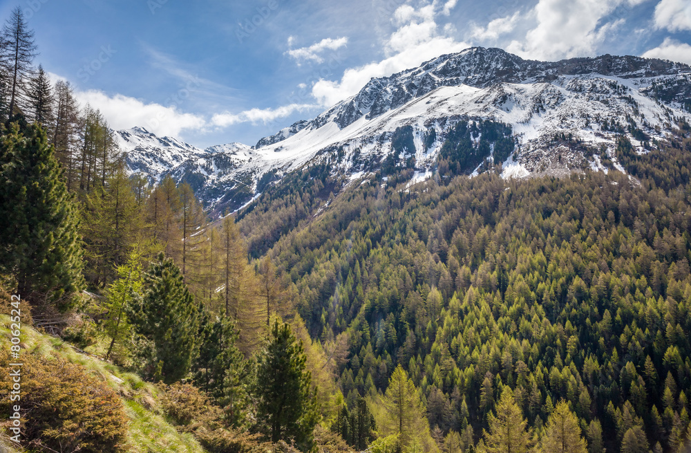 Gebirgstal in Südtirol