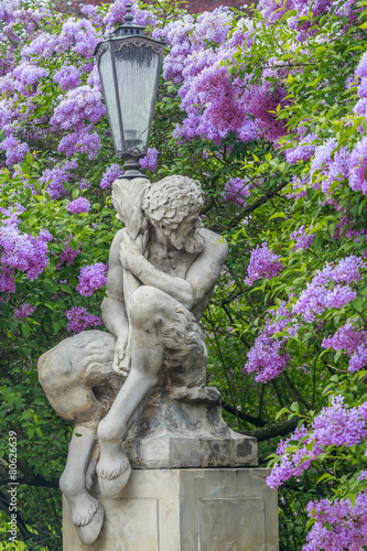 Faun Statue, background of blooming lilacs,Lazienki in Warsaw