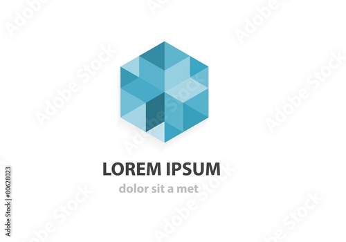 Abstract geometric crystal logo design for your company. 