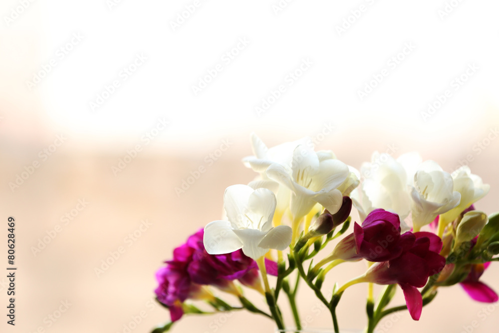 Beautiful spring flowers on bright background, closeup Beautiful spring flowers on bright background, closeup