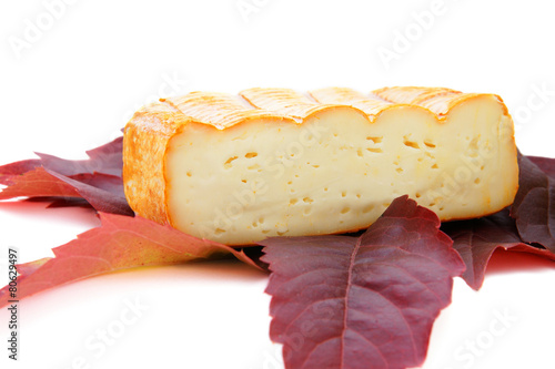 Fromage photo